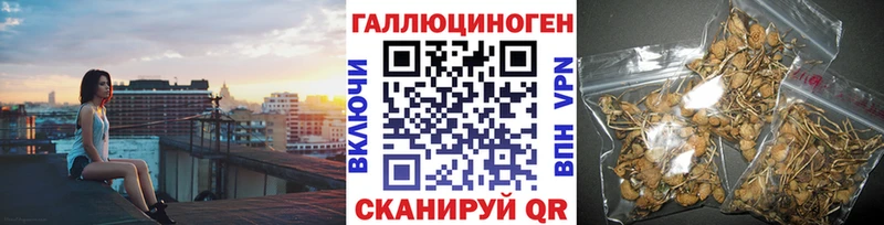 Псилоцибиновые грибы прущие грибы  Куровское 