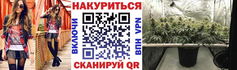 Бошки Шишки Amnesia Куровское